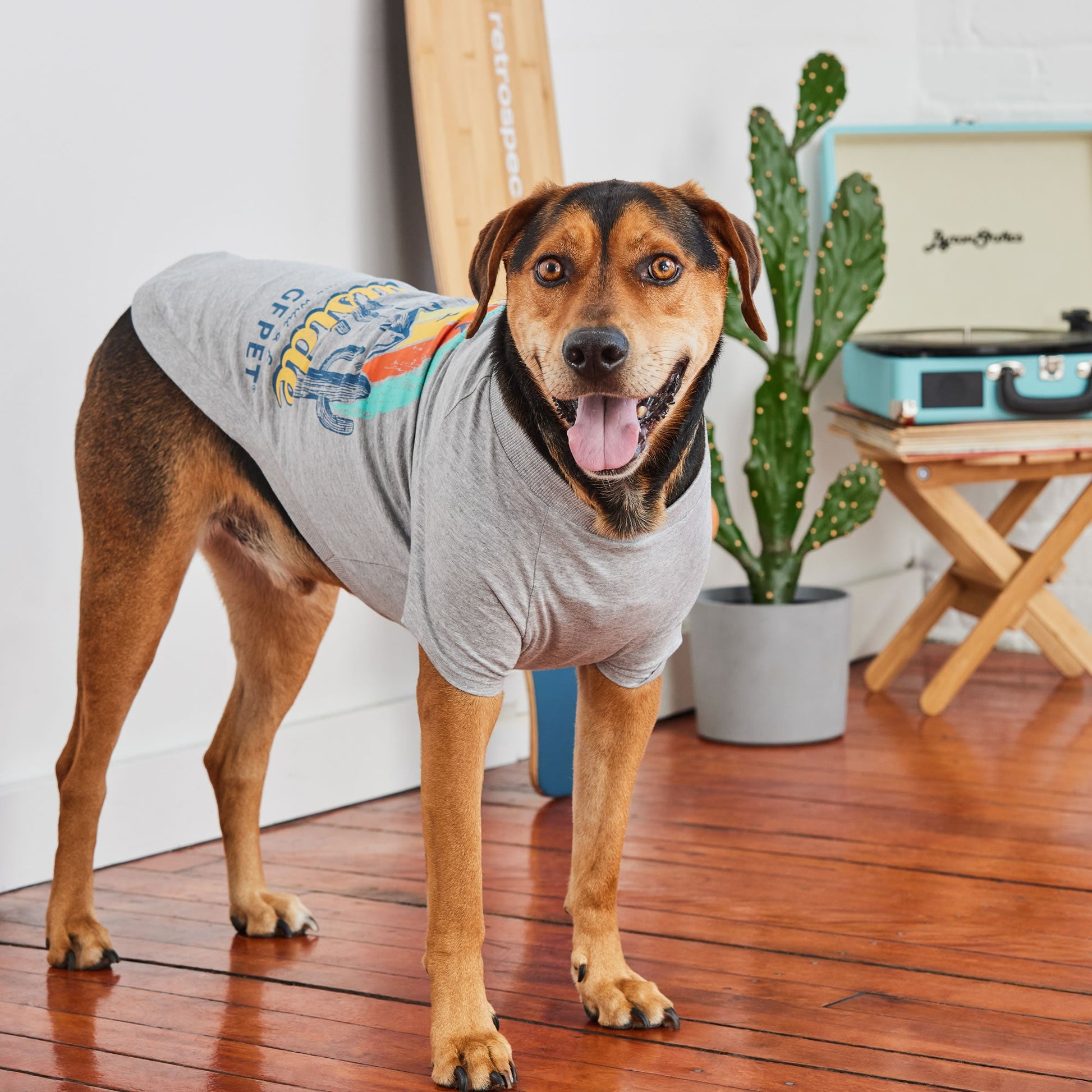 Graphic Tee Grey Dog Shirts Premium Pet Supply Premium - close up view