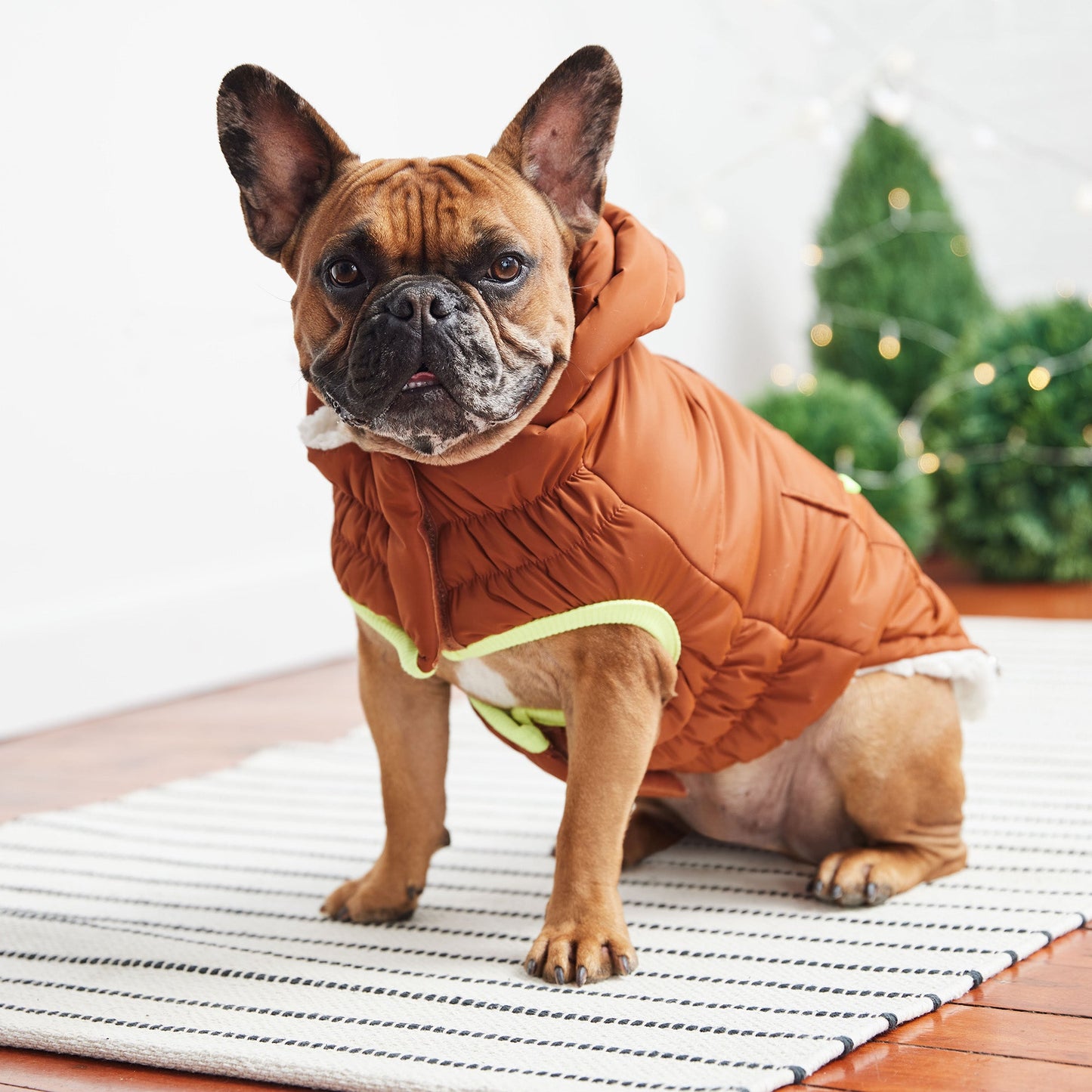 The Puff Parka Hazel Dog Apparel Premium Pet Supply Premium - close up view