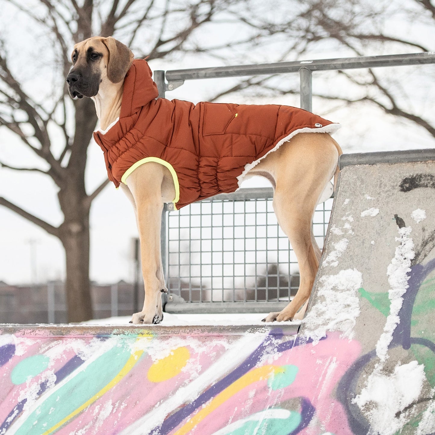 The Puff Parka Hazel Dog Apparel Premium Pet Supply Premium - gallery image 5