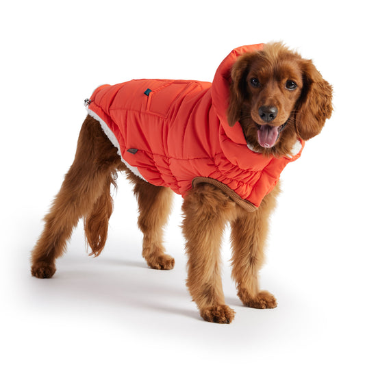 The Puff Parka Orange Dog Jackets Premium Pet Supply Premium - detail view