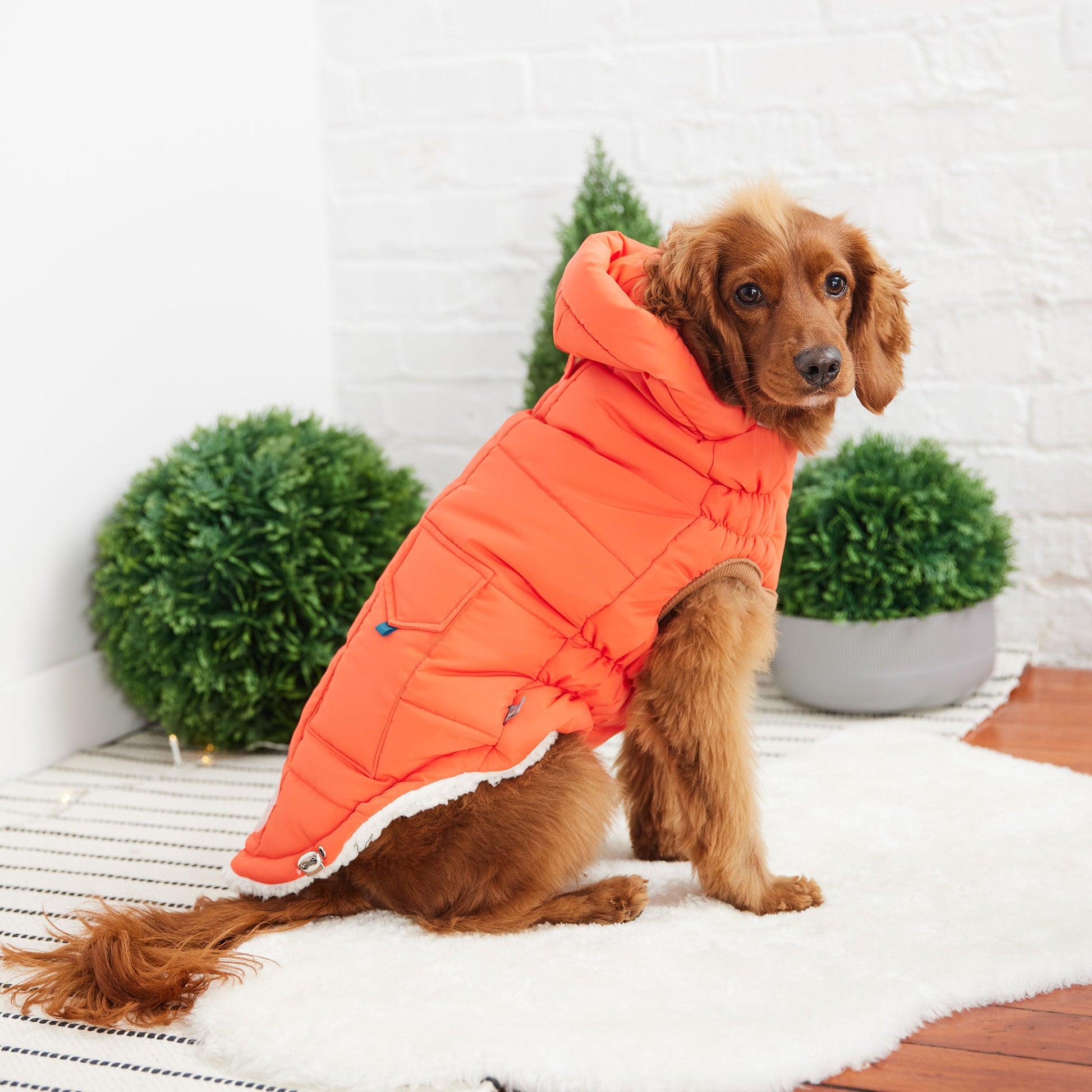 The Puff Parka Orange Dog Jackets Premium Pet Supply Premium - close up view