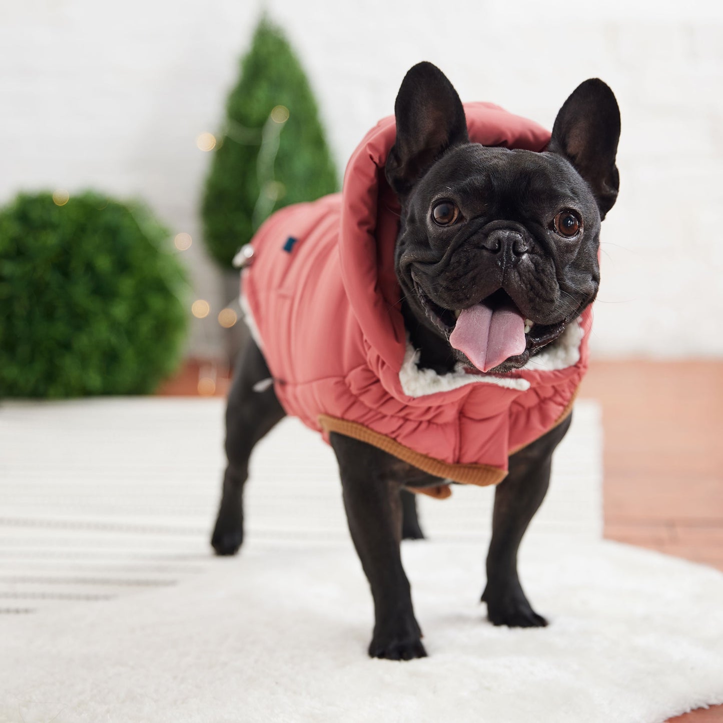 The Puff Parka Pink Dog Apparel Premium Pet Supply Premium - close up view
