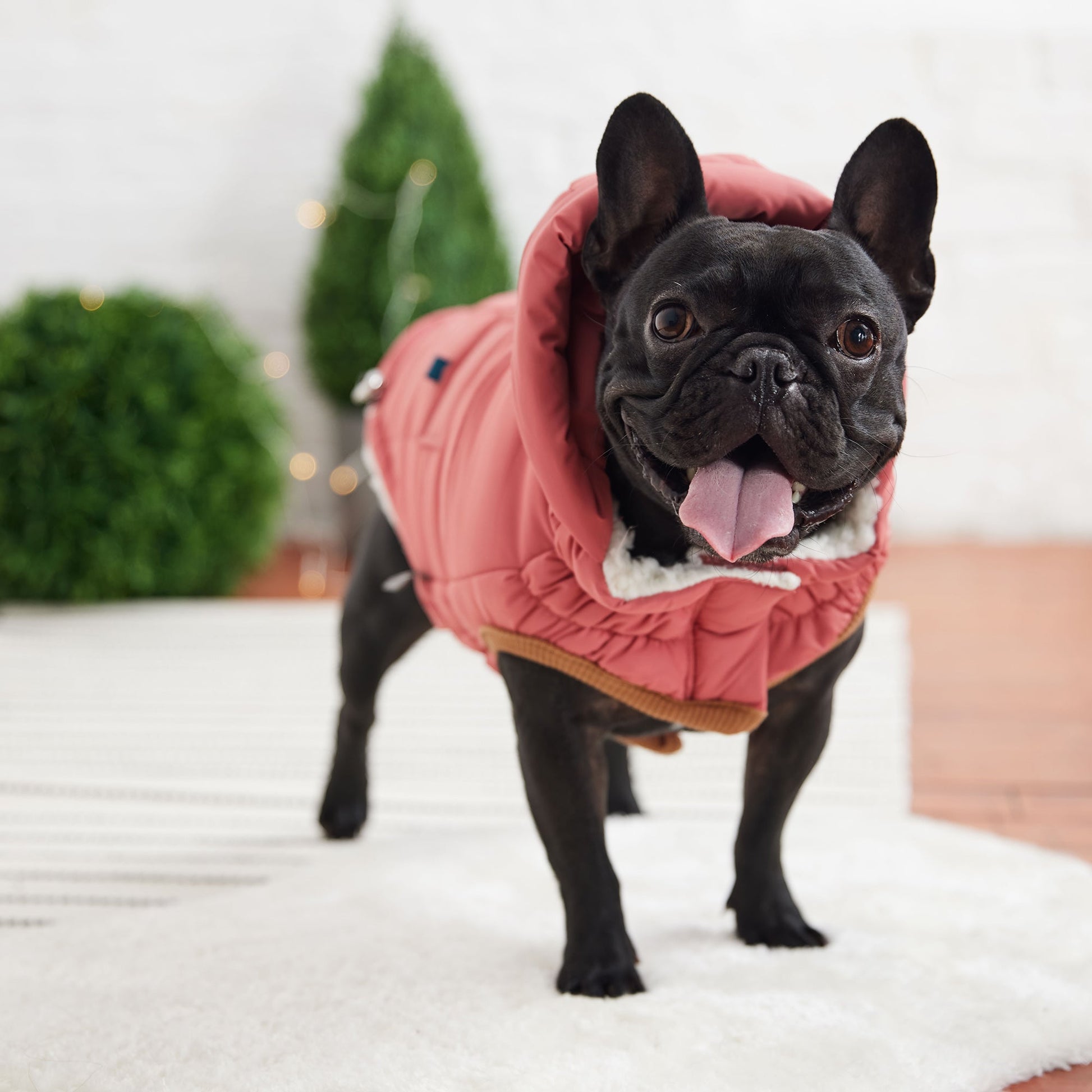 The Puff Parka Pink Dog Apparel Premium Pet Supply Premium - close up view