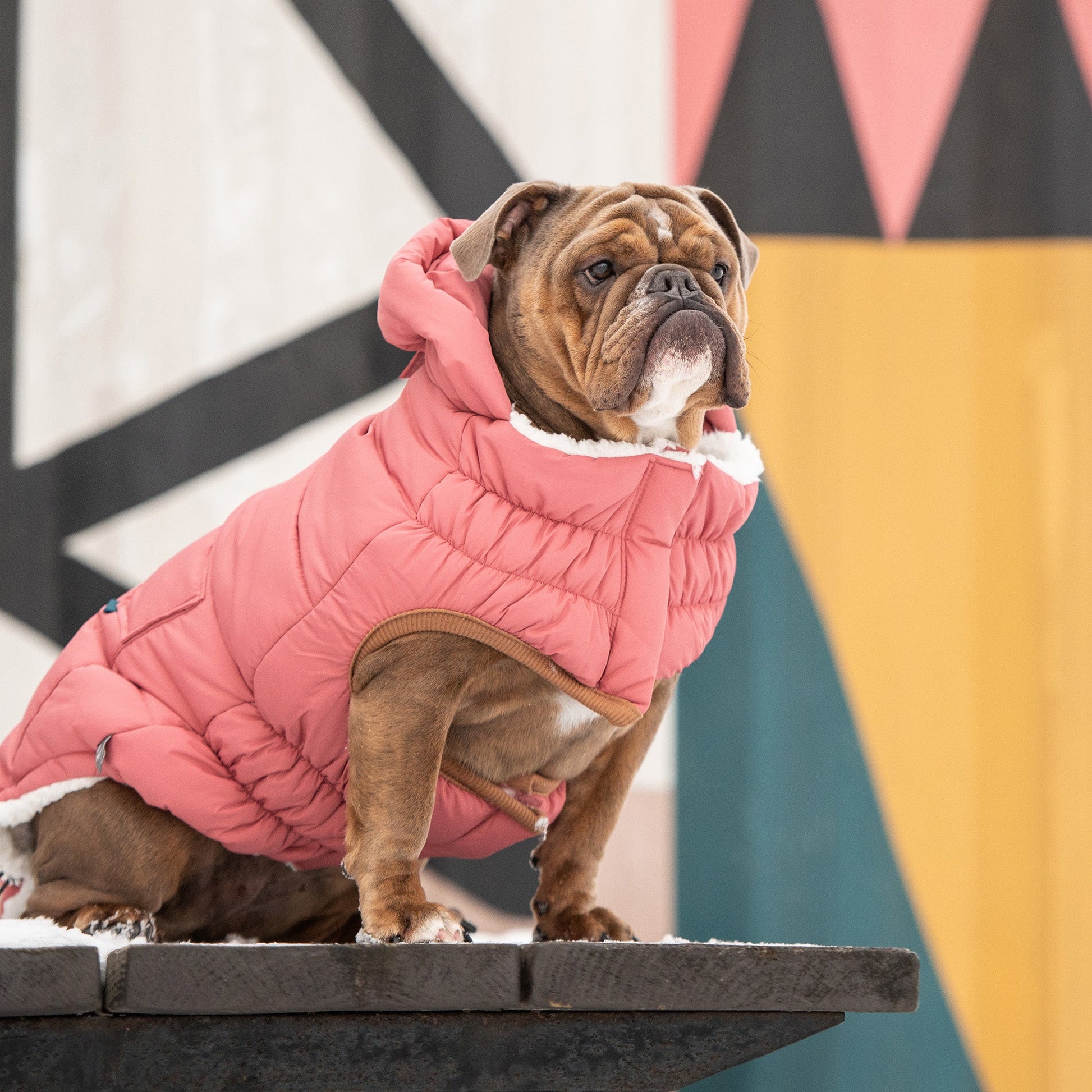 The Puff Parka Pink Dog Apparel Premium Pet Supply Premium - gallery image 5
