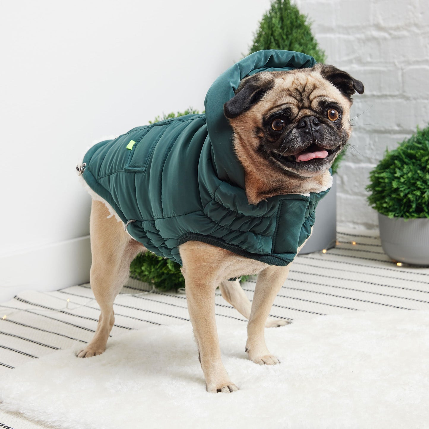 The Puff Parka Teal Dog Apparel Premium Pet Supply Premium - close up view