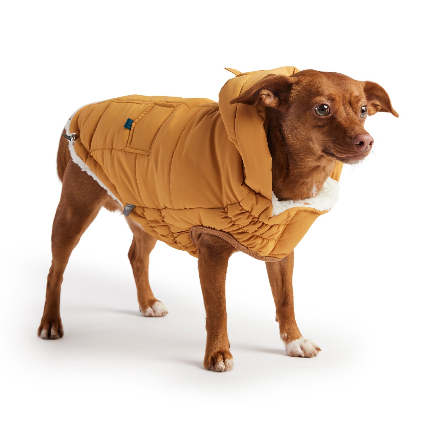 The Puff Parka Yellow Dog Apparel Premium Pet Supply Premium - detail view