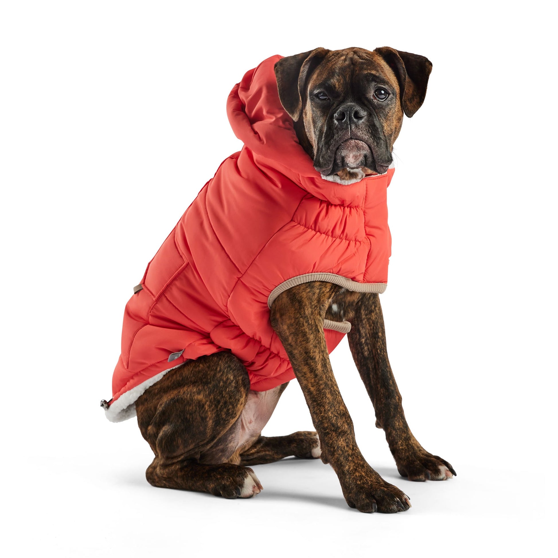 Nordic Parka Dog Jackets Premium Pet Supply Premium - lifestyle view