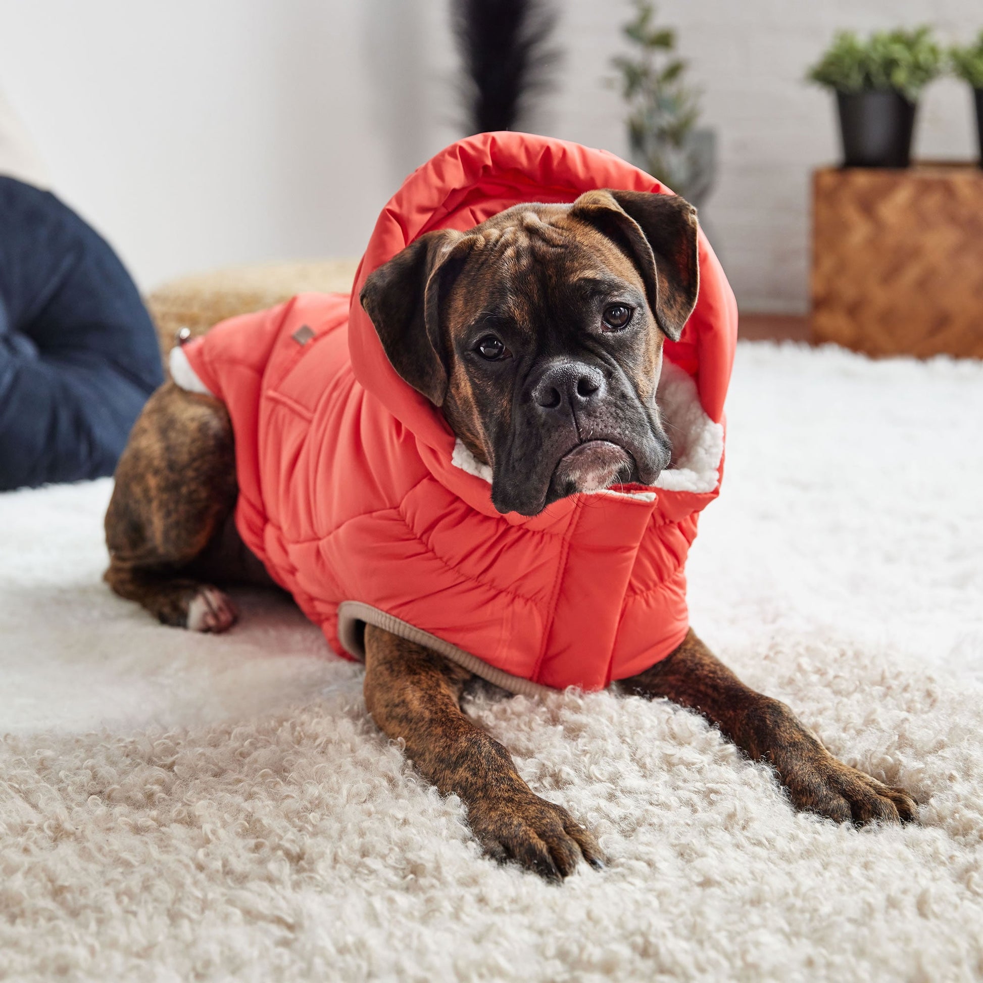 Nordic Parka Dog Jackets Premium Pet Supply Premium - gallery image 6