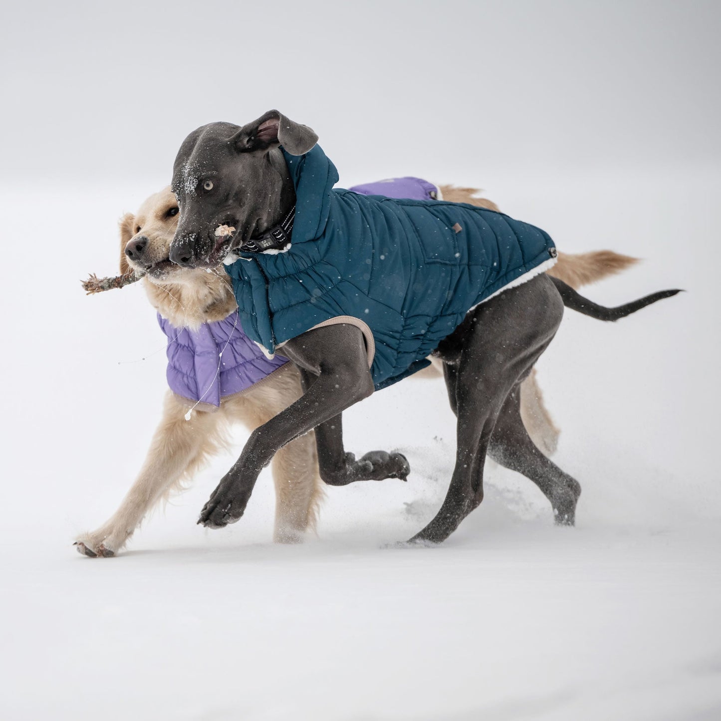 Nordic Parka Dog Jackets Premium Pet Supply Premium - gallery image 15