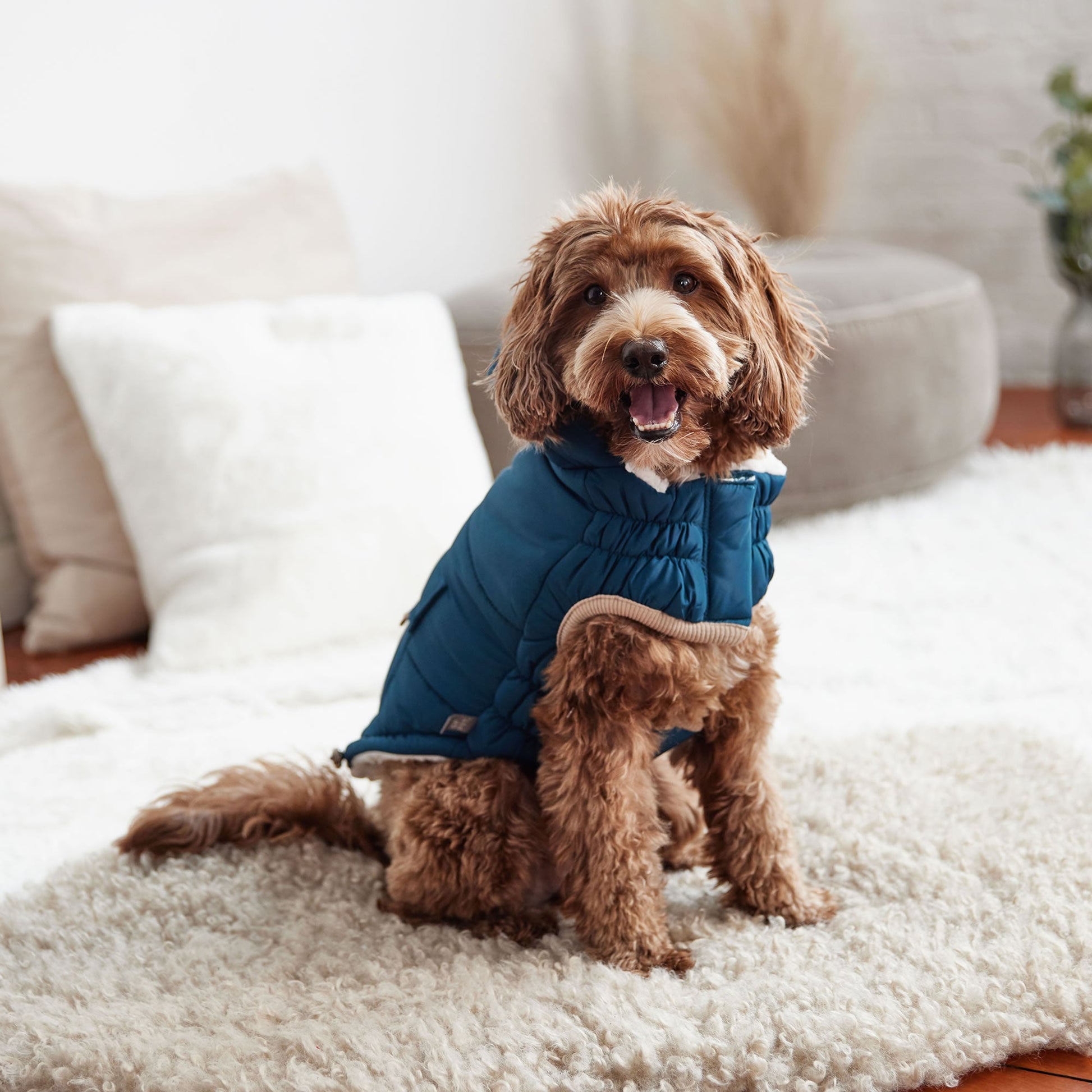 Nordic Parka Dog Jackets Premium Pet Supply Premium - gallery image 11