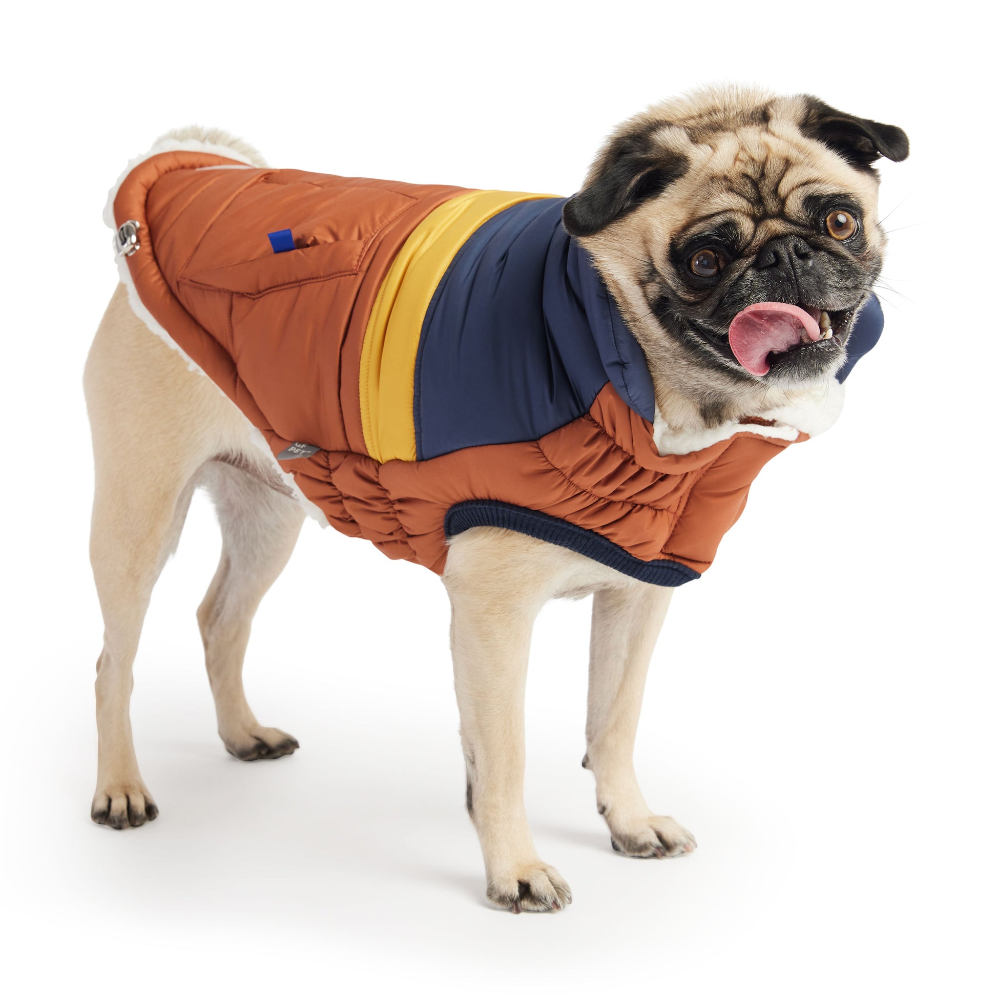 Retro Puffer Hazel Dog Apparel Premium Pet Supply Premium - detail view