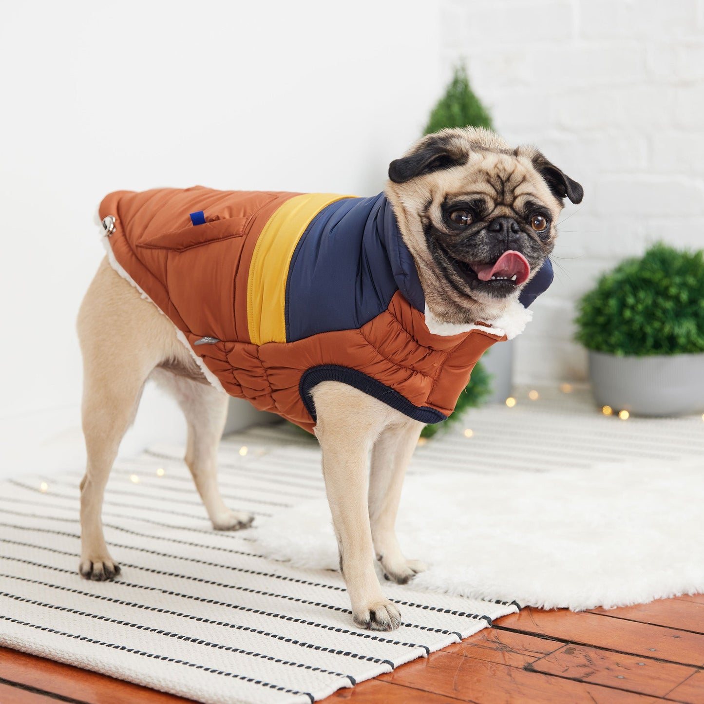 Retro Puffer Hazel Dog Apparel Premium Pet Supply Premium - close up view