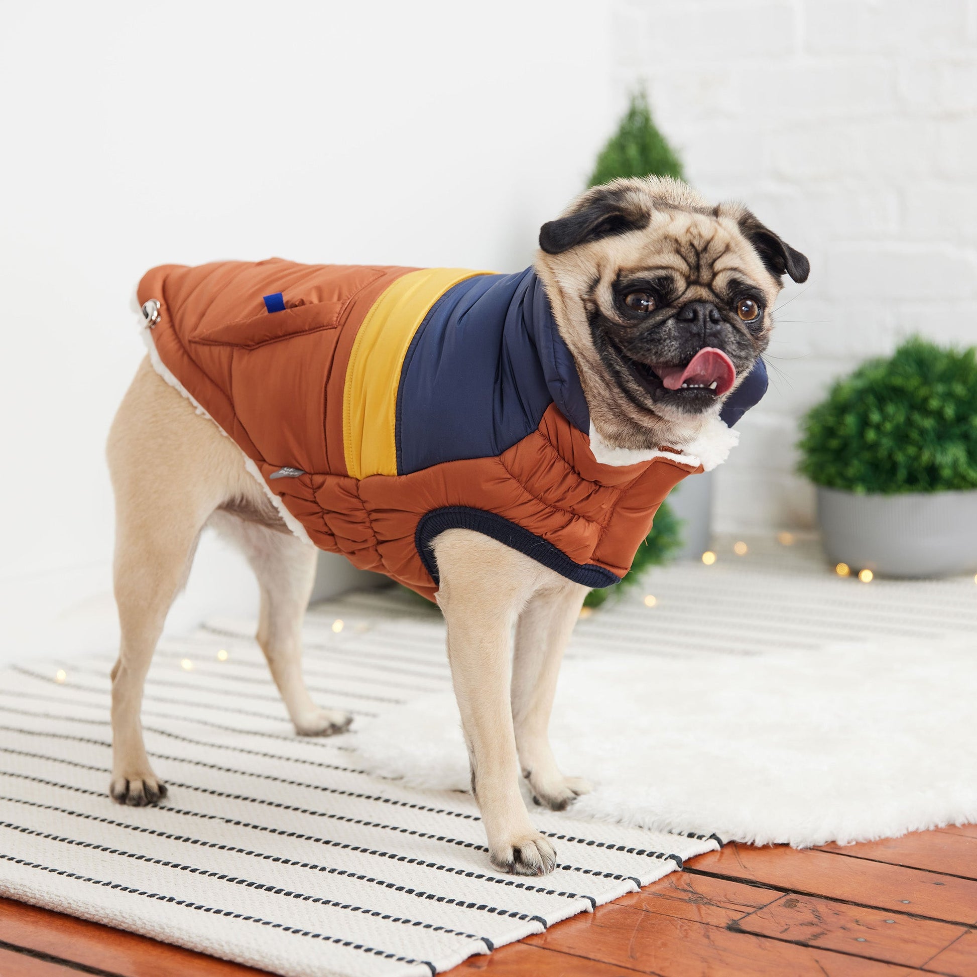 Retro Puffer Hazel Dog Apparel Premium Pet Supply Premium - close up view