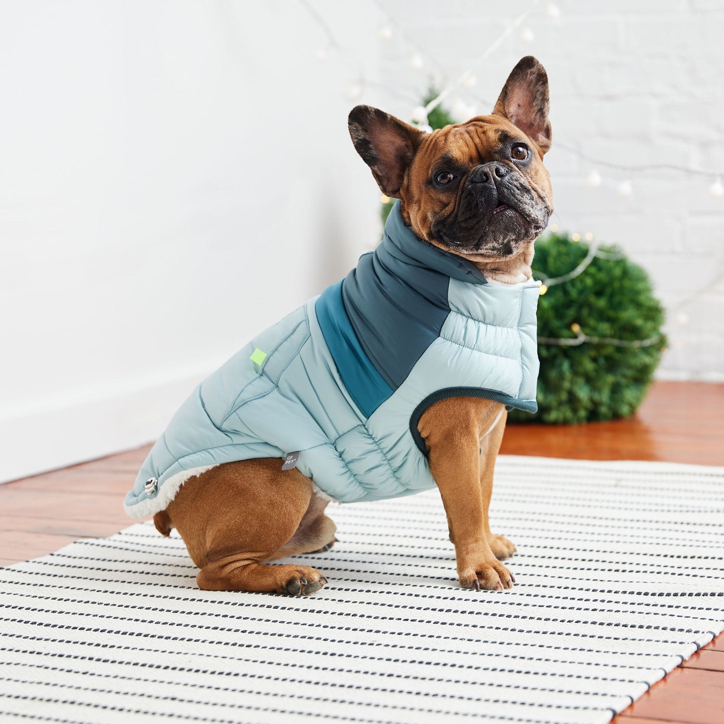 Retro Puffer Light Blue Dog Apparel Premium Pet Supply - close up view