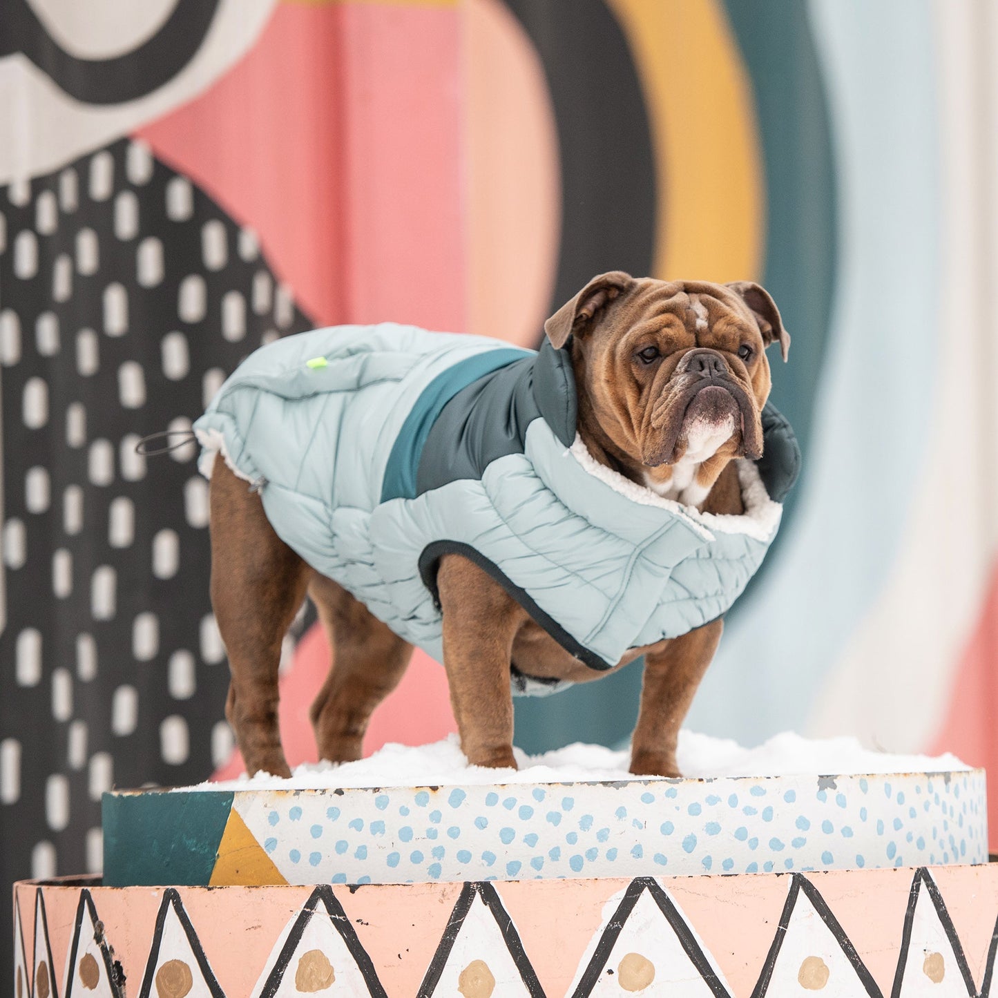 Retro Puffer Light Blue Dog Apparel Premium Pet Supply - gallery image 5