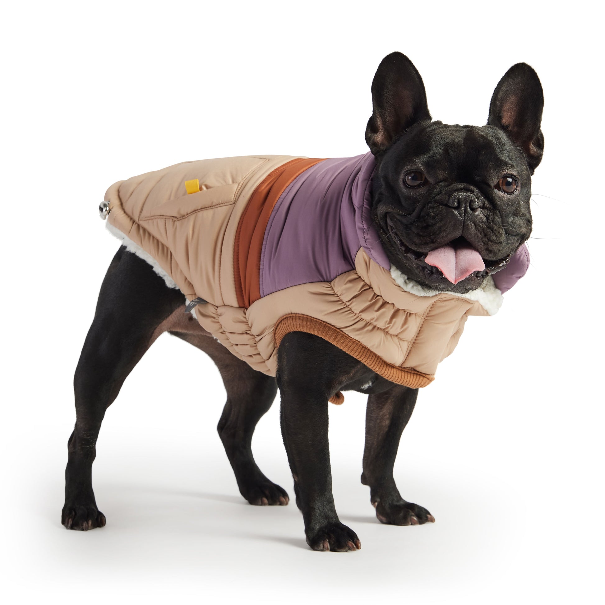 Retro Puffer Sand Dog Apparel Premium Pet Supply Premium - detail view