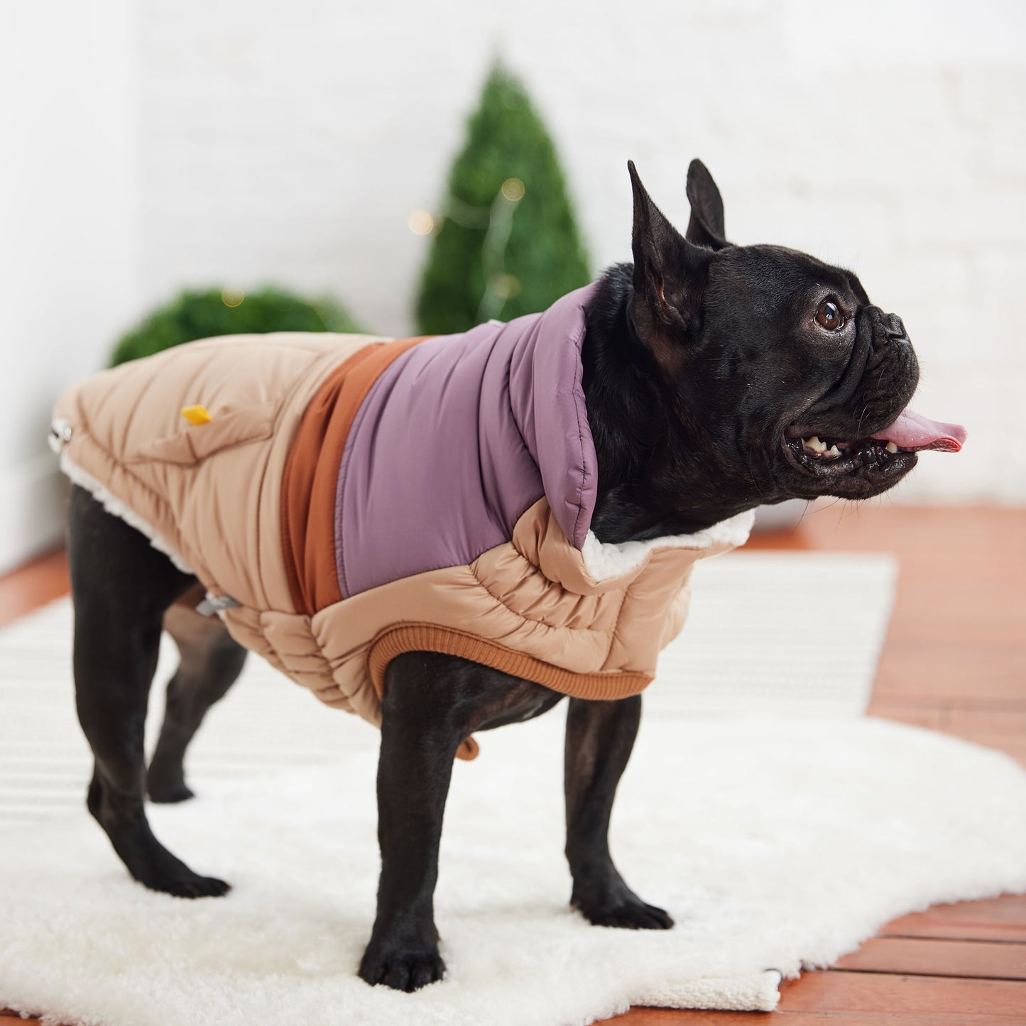 Retro Puffer Sand Dog Apparel Premium Pet Supply Premium - close up view