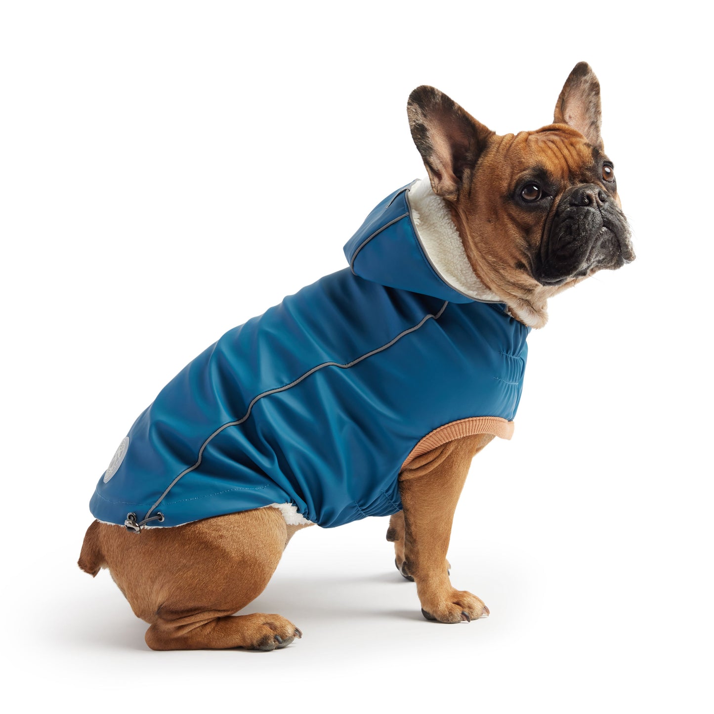 Insulated Raincoat Dark Blue Dog Apparel Premium Pet Supply - detail view