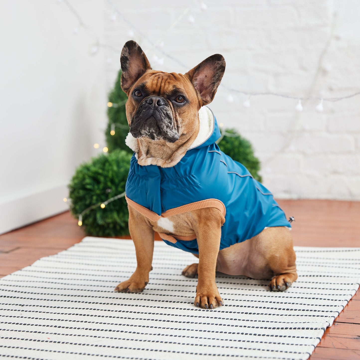 Insulated Raincoat Dark Blue Dog Apparel Premium Pet Supply - close up view