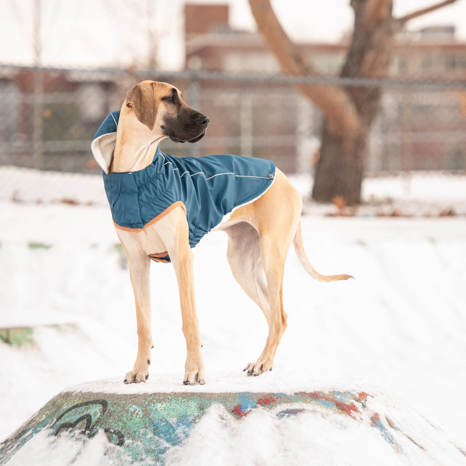 Insulated Raincoat Dark Blue Dog Apparel Premium Pet Supply - gallery image 5