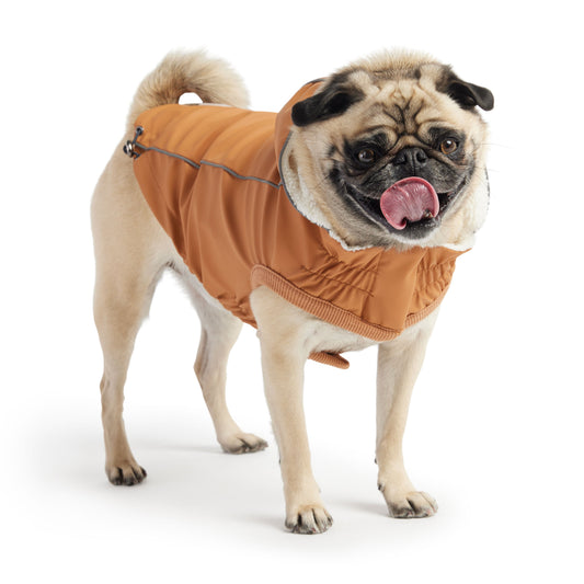 Insulated Raincoat Hazel Dog Apparel Premium Pet Supply - detail view