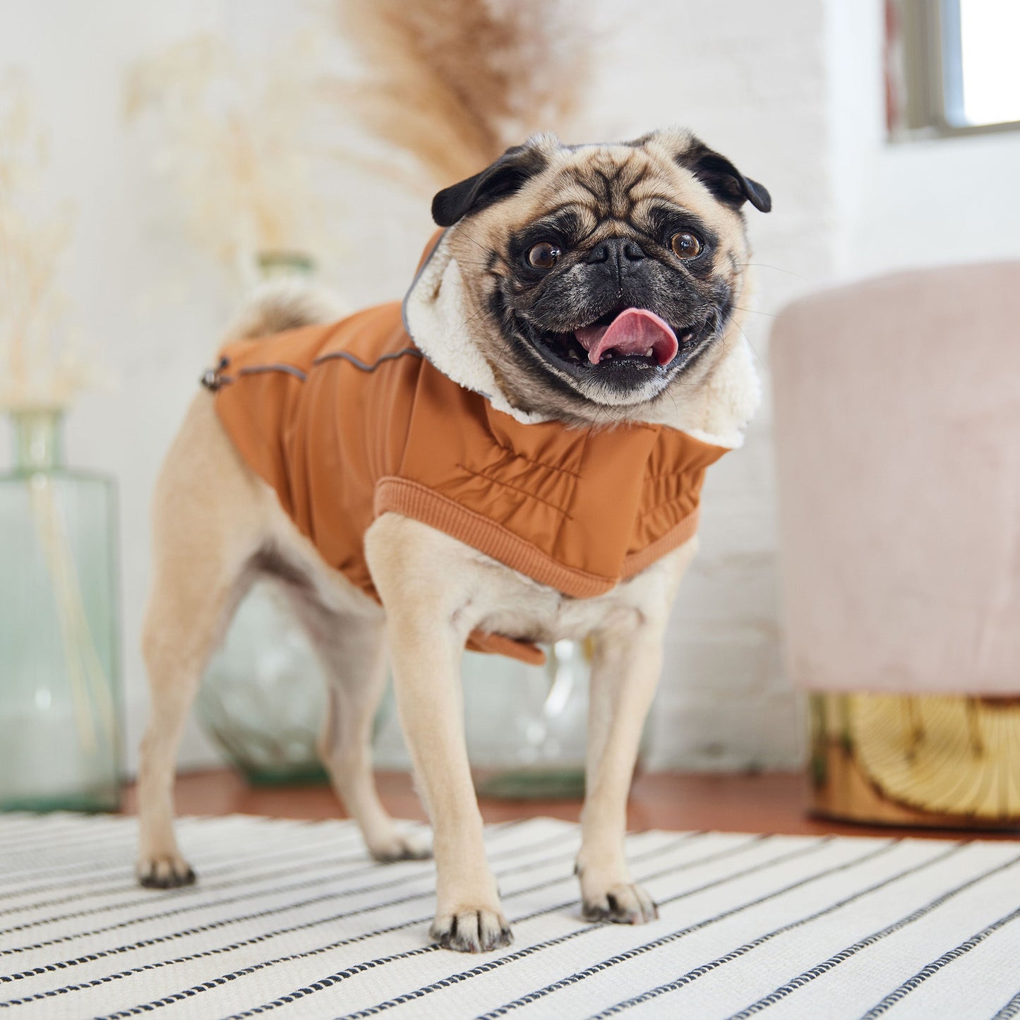 Insulated Raincoat Hazel Dog Apparel Premium Pet Supply - close up view