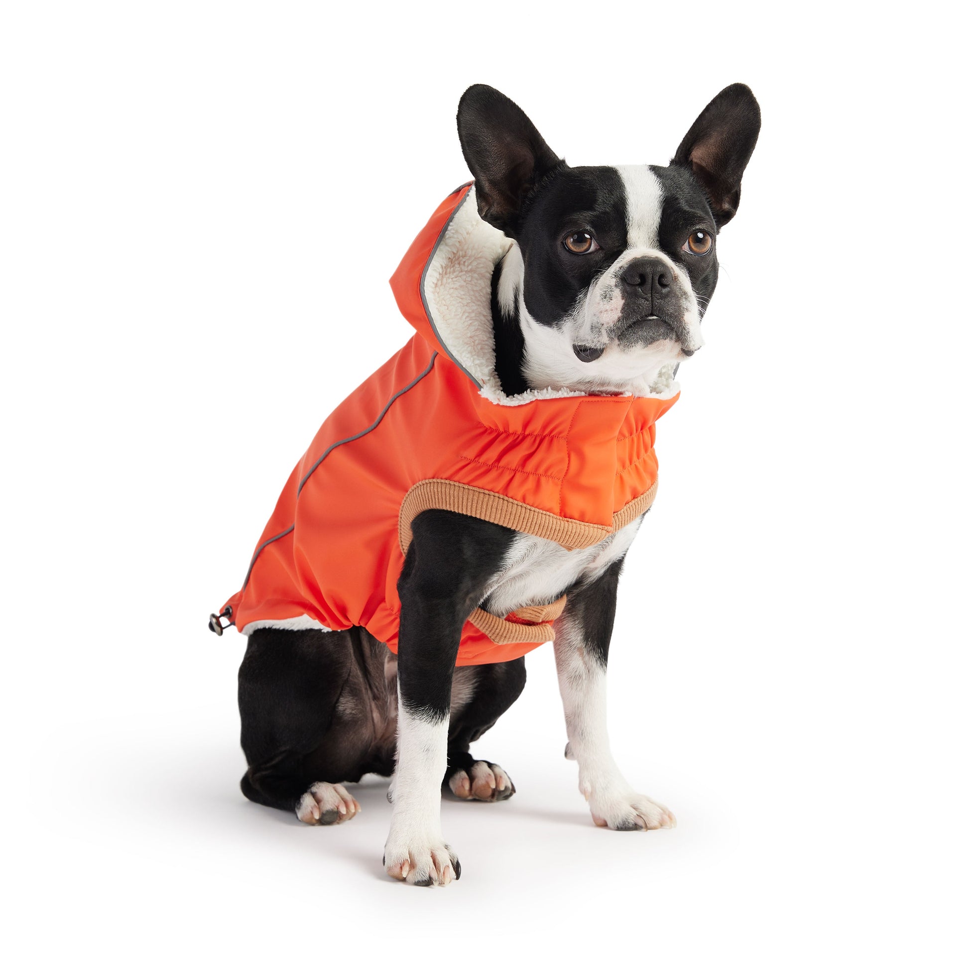Insulated Raincoat Orange Dog Apparel Premium Pet Supply - detail view