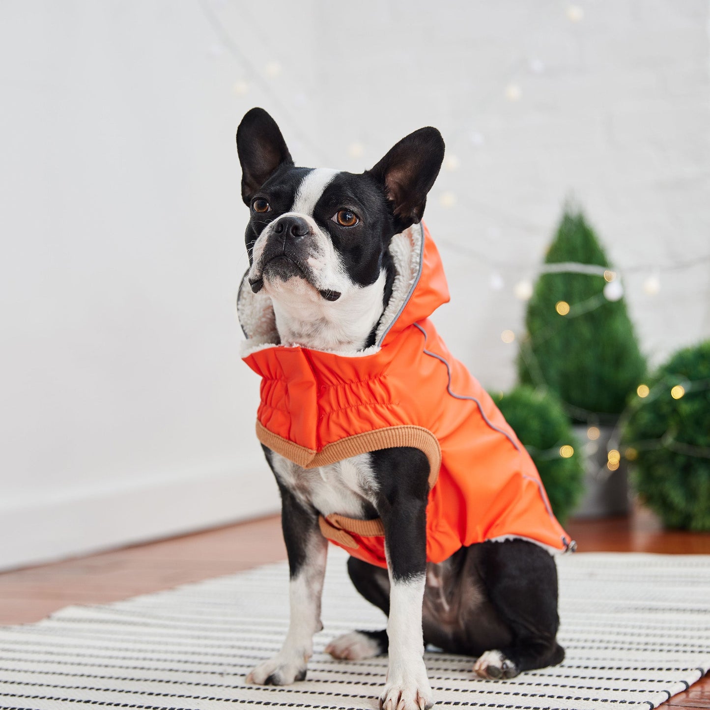 Insulated Raincoat Orange Dog Apparel Premium Pet Supply - close up view