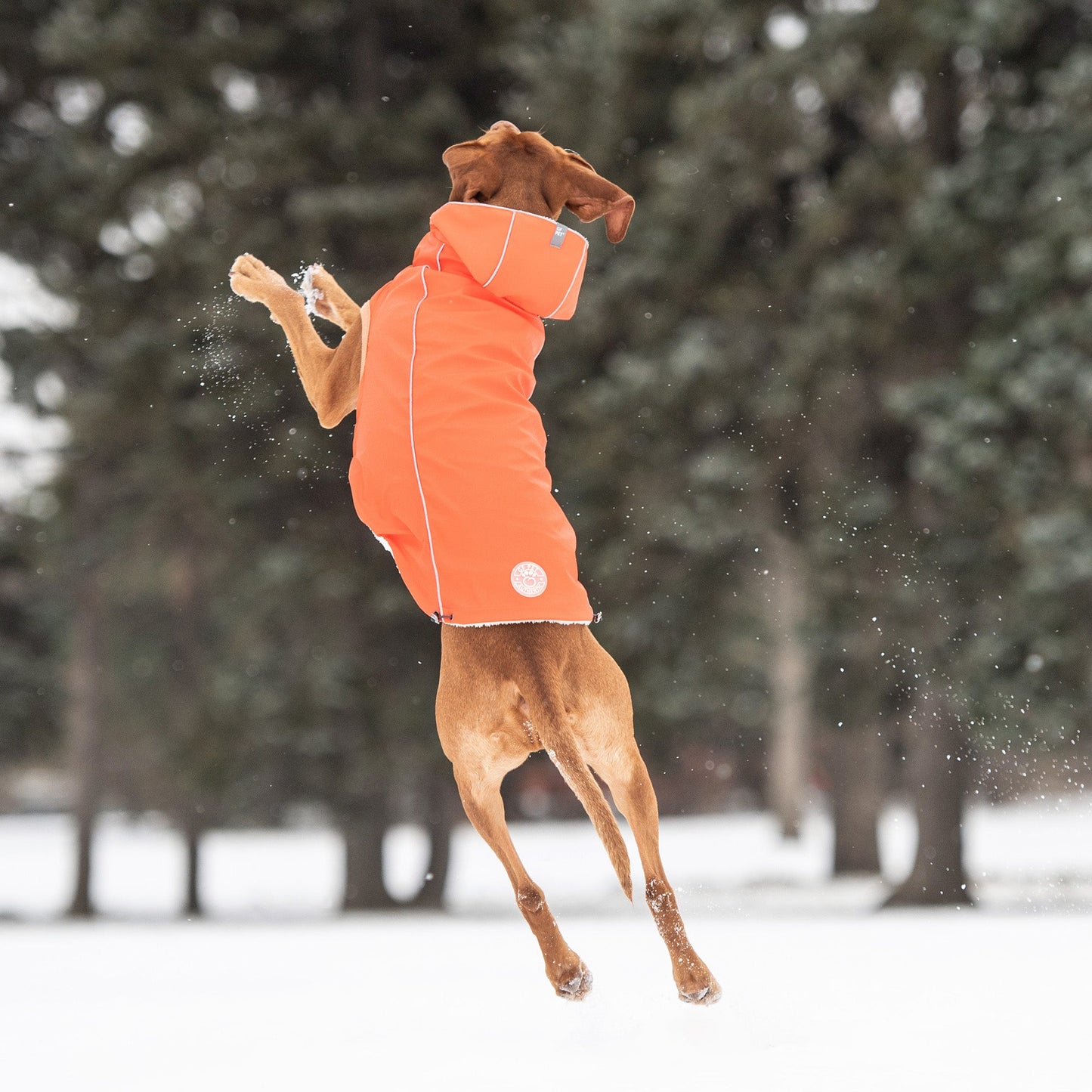 Insulated Raincoat Orange Dog Apparel Premium Pet Supply - gallery image 5