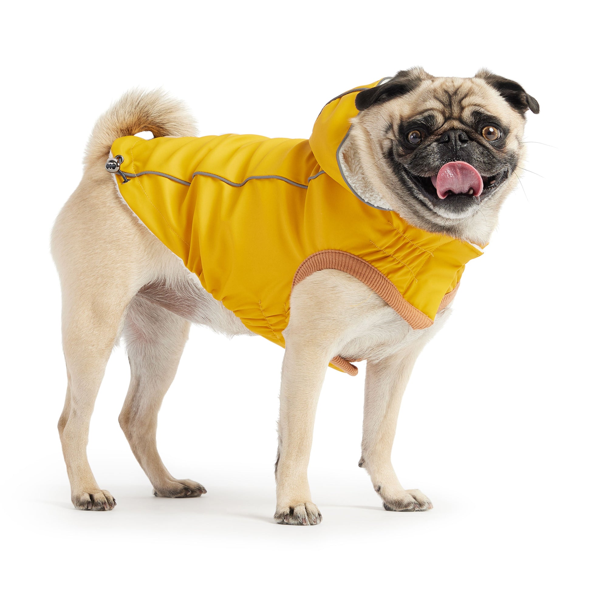 Insulated Raincoat Yellow Dog Apparel Premium Pet Supply - detail view
