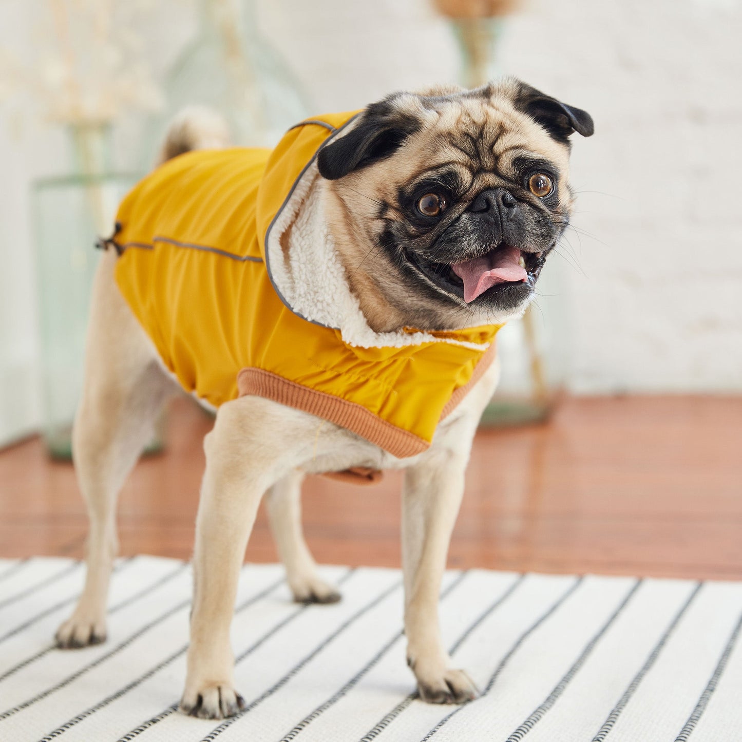 Insulated Raincoat Yellow Dog Apparel Premium Pet Supply - close up view