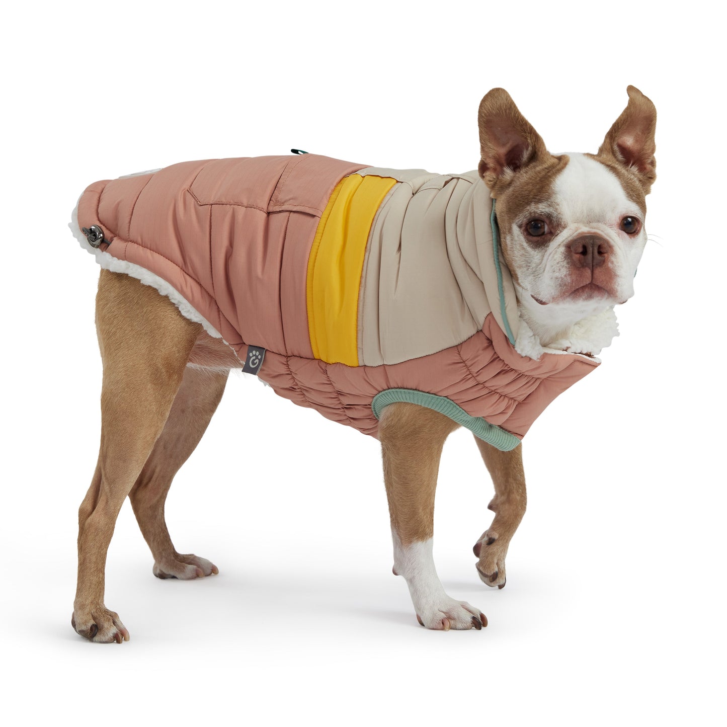 Camplife Puffer Clay Dog Apparel Premium Pet Supply Premium - detail view
