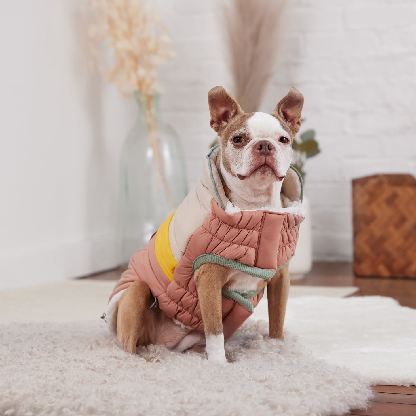 Camplife Puffer Clay Dog Apparel Premium Pet Supply Premium - close up view