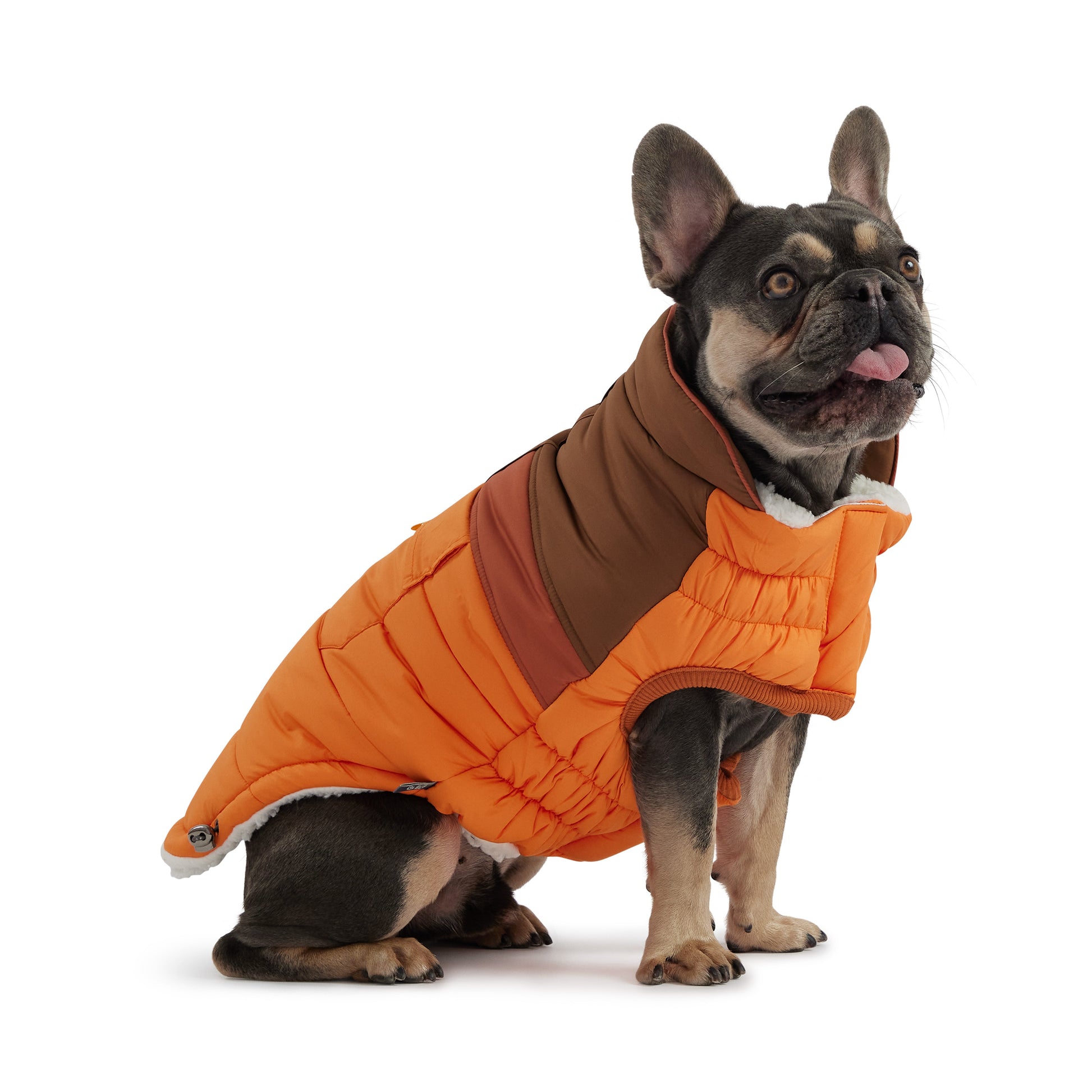 Camplife Puffer Orange Dog Apparel Premium Pet Supply - detail view