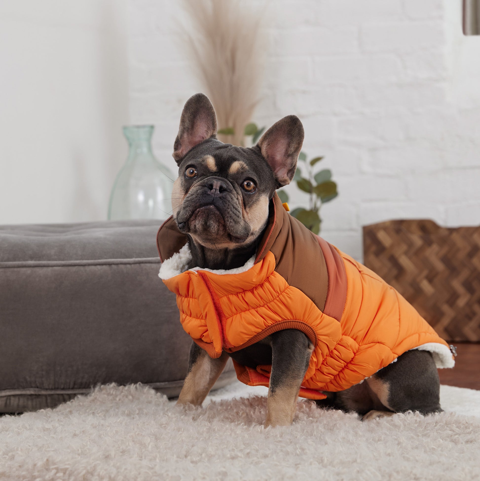 Camplife Puffer Orange Dog Apparel Premium Pet Supply - close up view