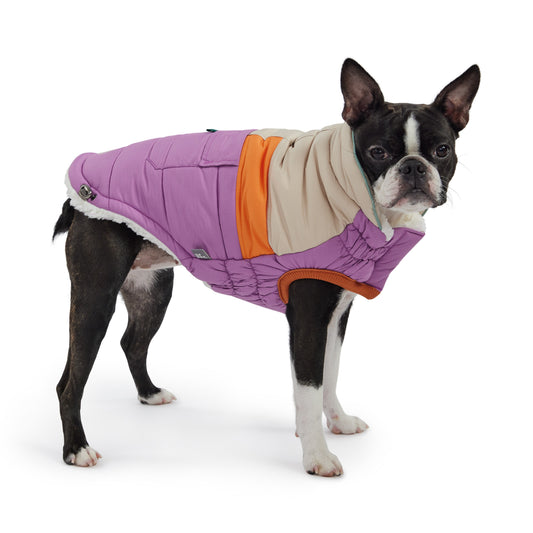 Camplife Puffer Purple Dog Apparel Premium Pet Supply - detail view