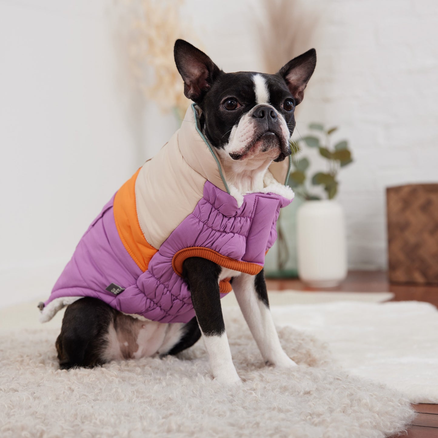 Camplife Puffer Purple Dog Apparel Premium Pet Supply - close up view