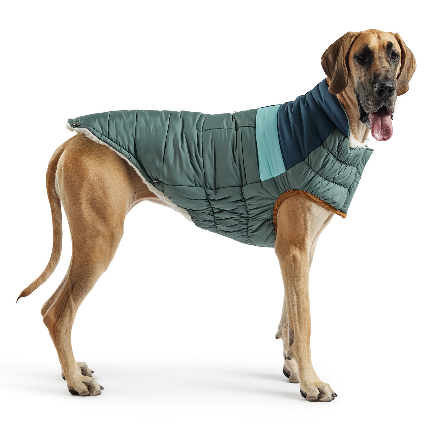Camplife Puffer Sage Dog Apparel Premium Pet Supply Premium - close up view