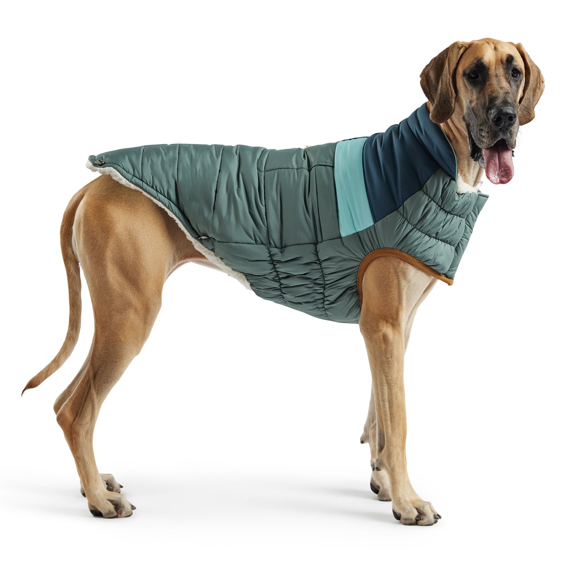 Camplife Puffer Sage Dog Apparel Premium Pet Supply Premium - close up view