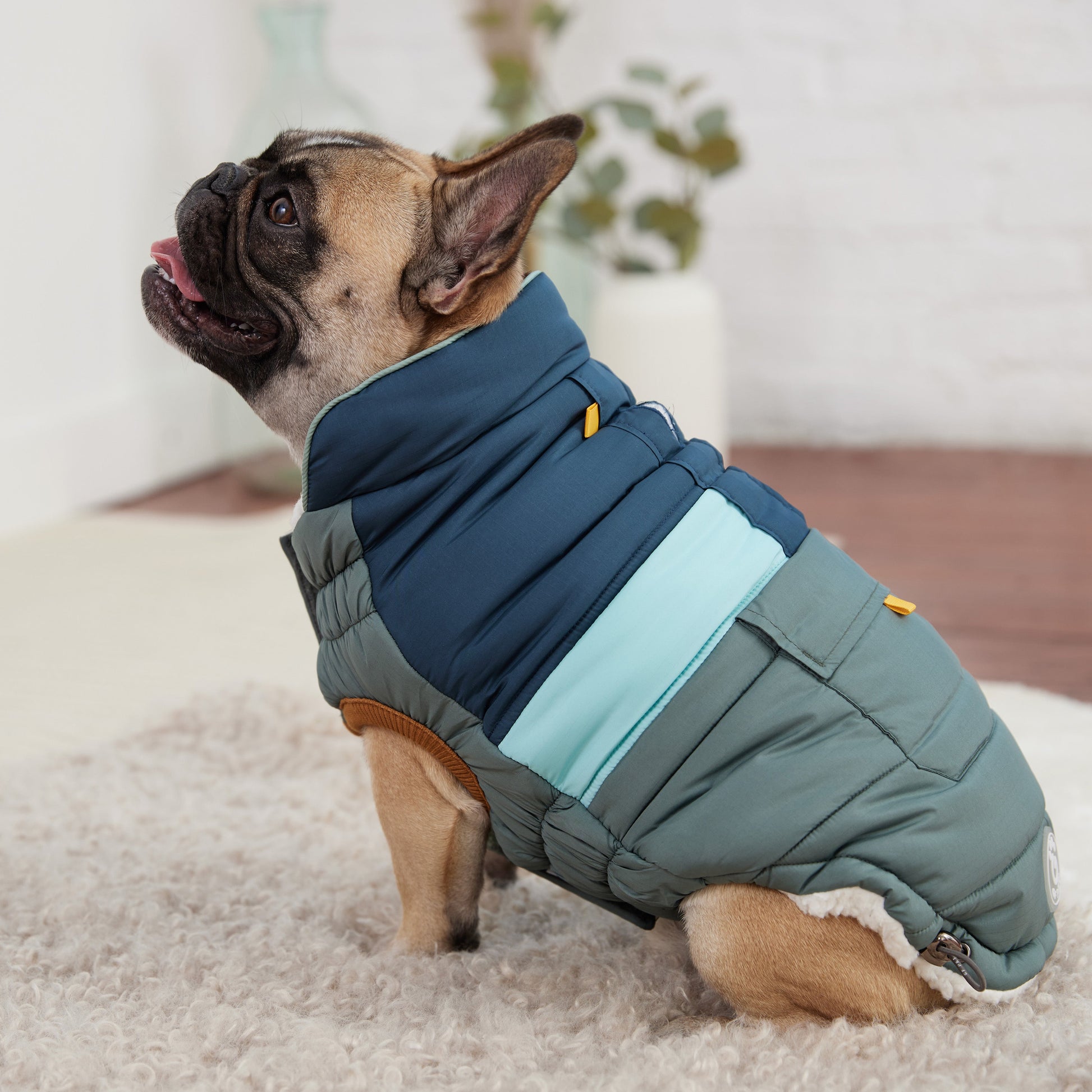 Camplife Puffer Sage Dog Apparel Premium Pet Supply Premium - gallery image 5