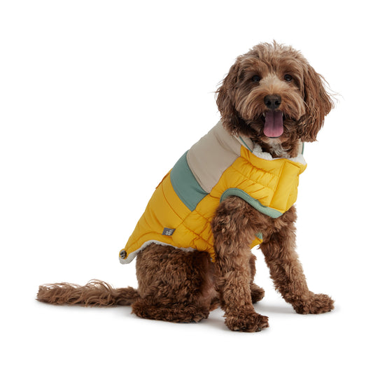 Camplife Puffer Yellow Dog Apparel Premium Pet Supply - detail view