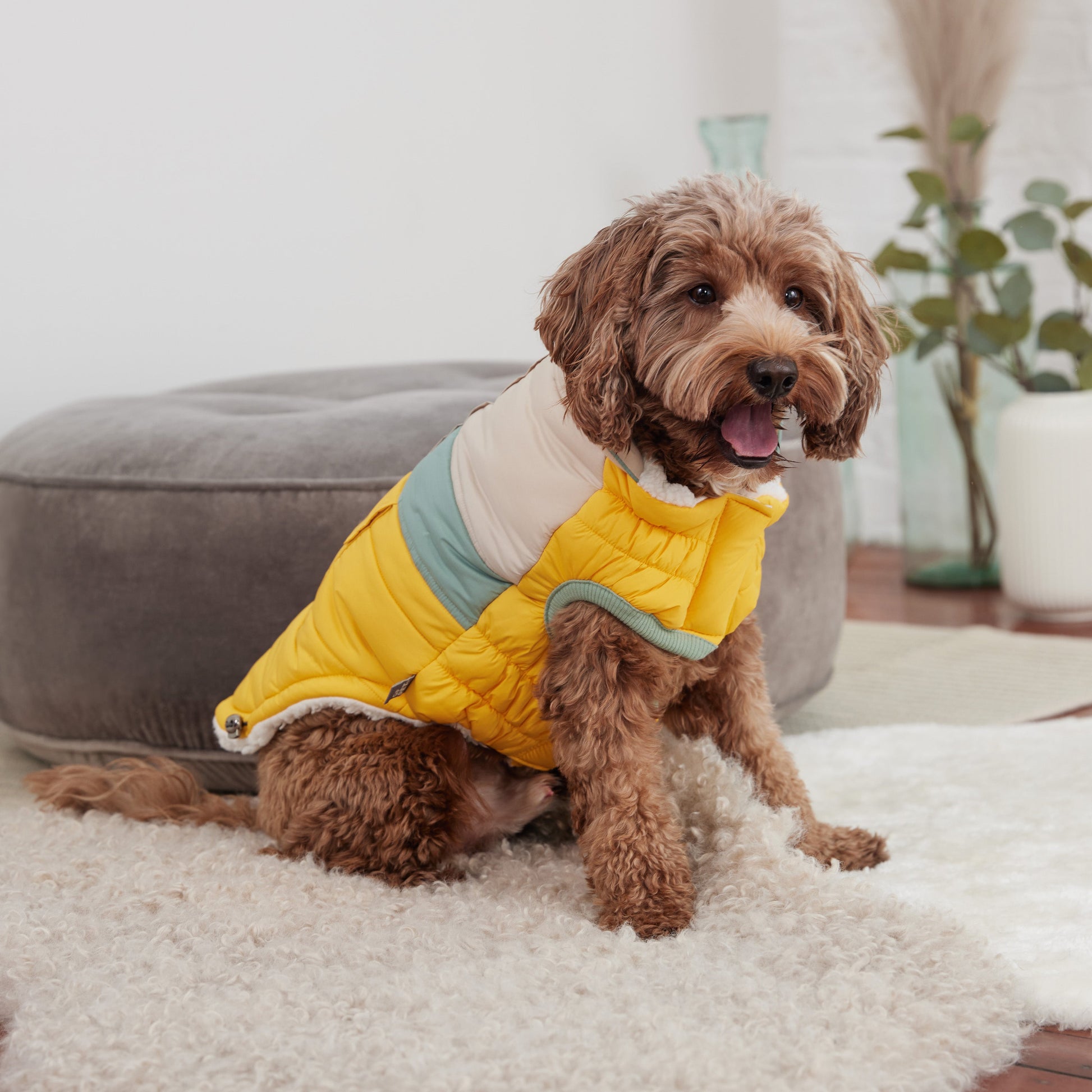 Camplife Puffer Yellow Dog Apparel Premium Pet Supply - close up view