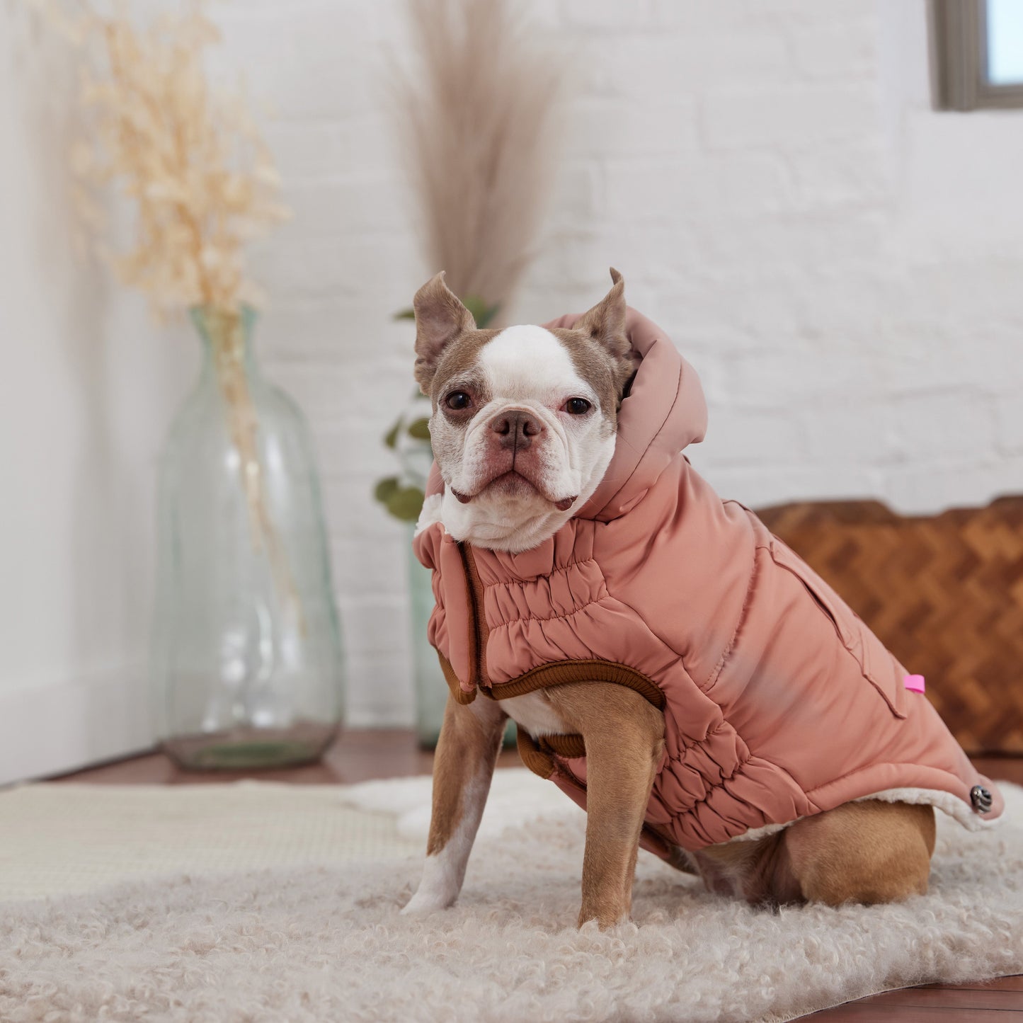 Arctic Parka - Clay - gallery view 6 | Pet Supplies at Purrfect Pet Kingdom for Dogs and Cats