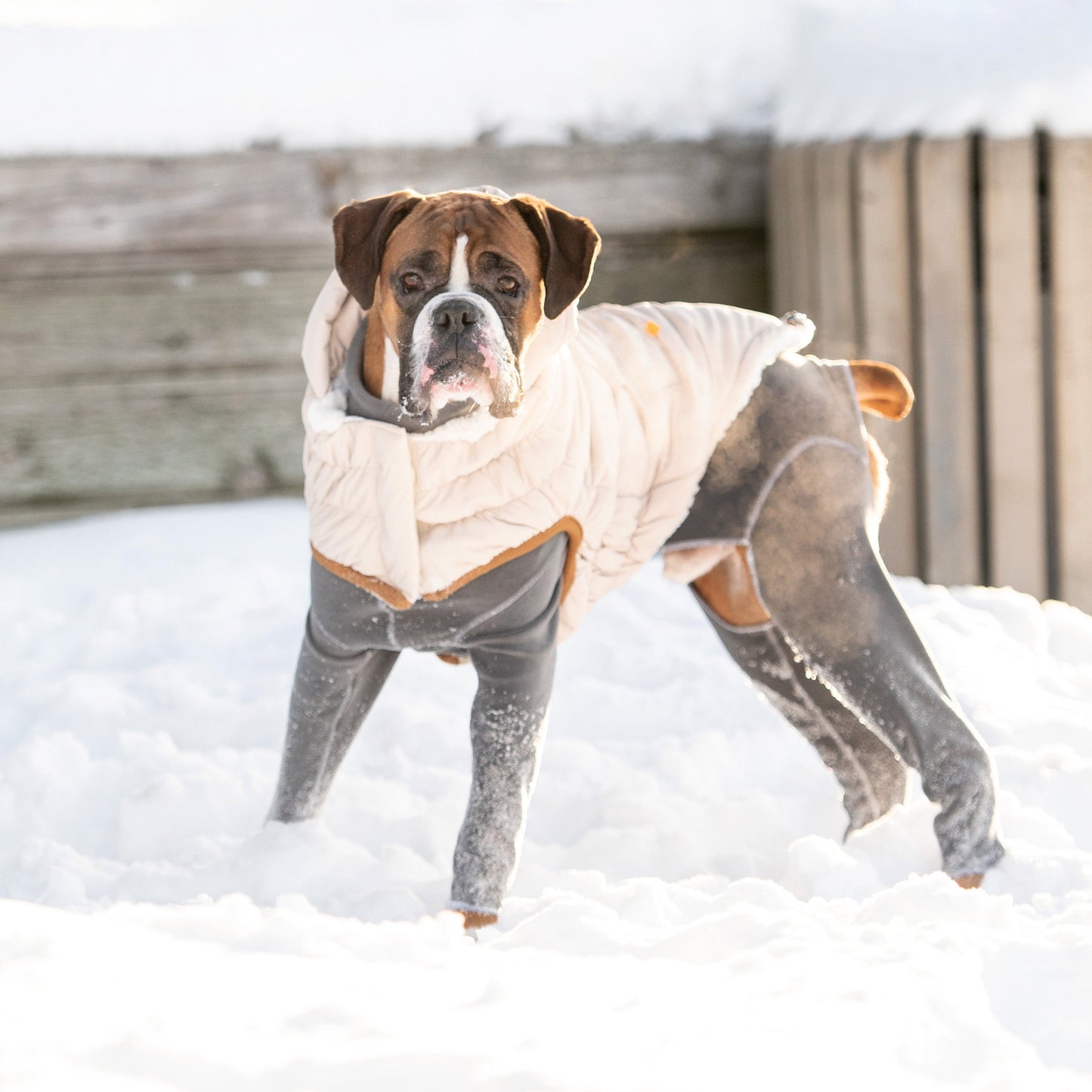 Arctic Parka - Sand - size and texture view | Pet Supplies at Purrfect Pet Kingdom
