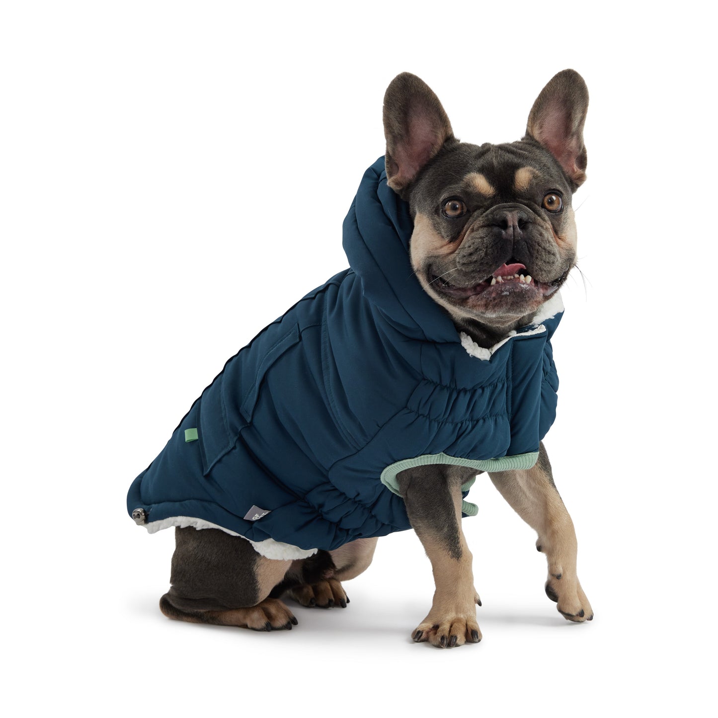 Arctic Parka - Teal - detail view | Pet Supplies at Purrfect Pet Kingdom for Dogs and Cats