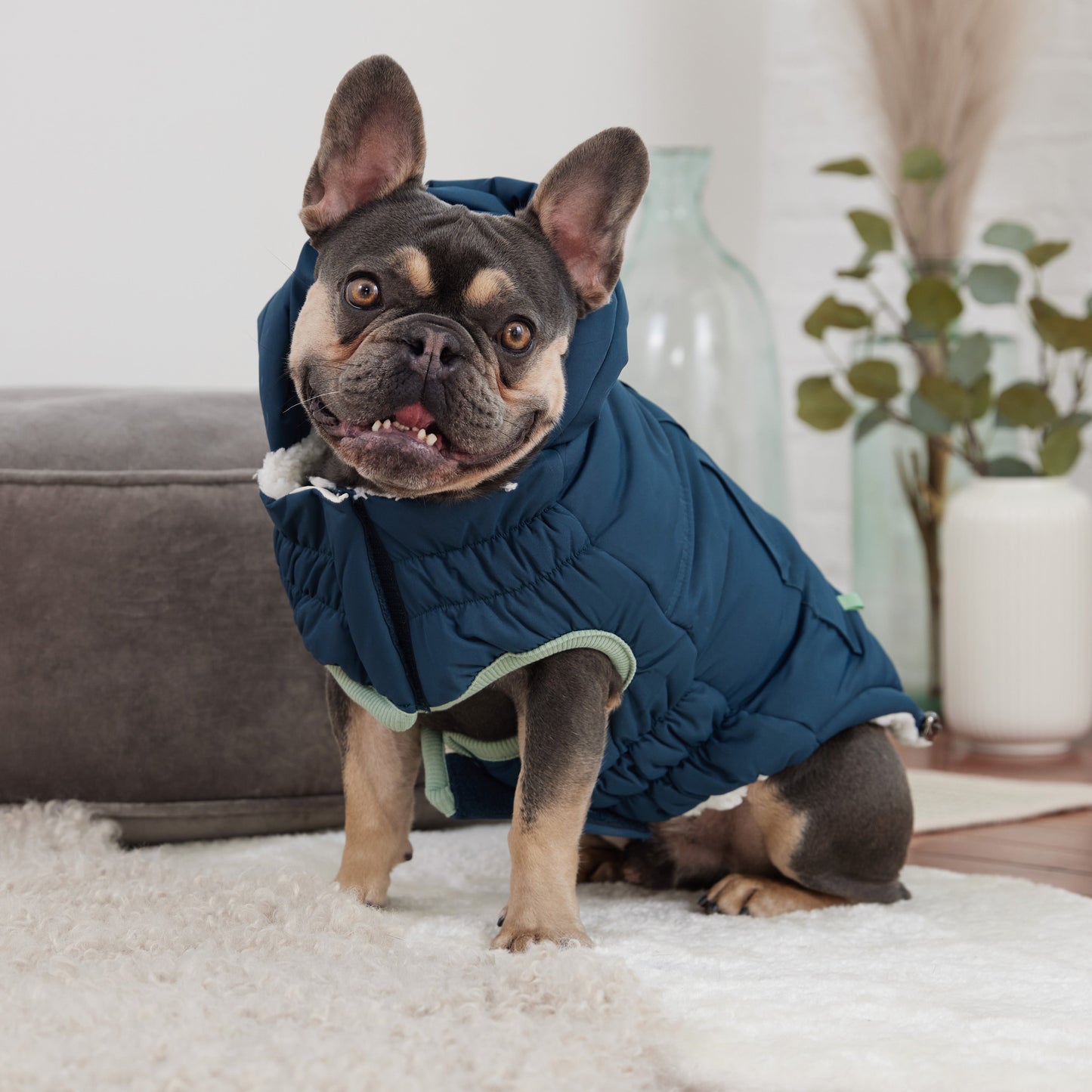 Arctic Parka Teal Dog Apparel Premium Pet Supply Premium - close up view