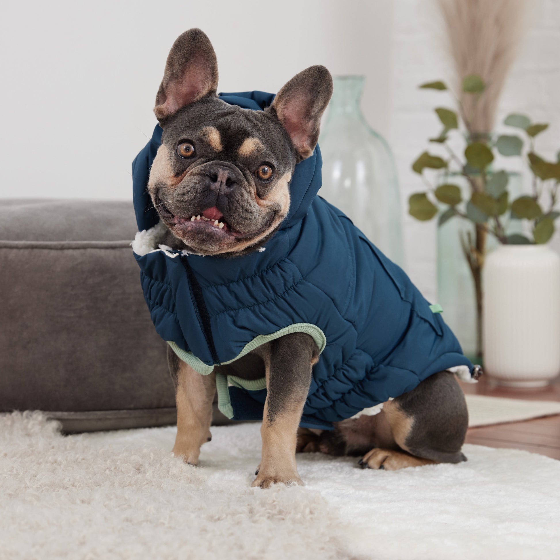 Arctic Parka Teal Dog Apparel Premium Pet Supply Premium - close up view