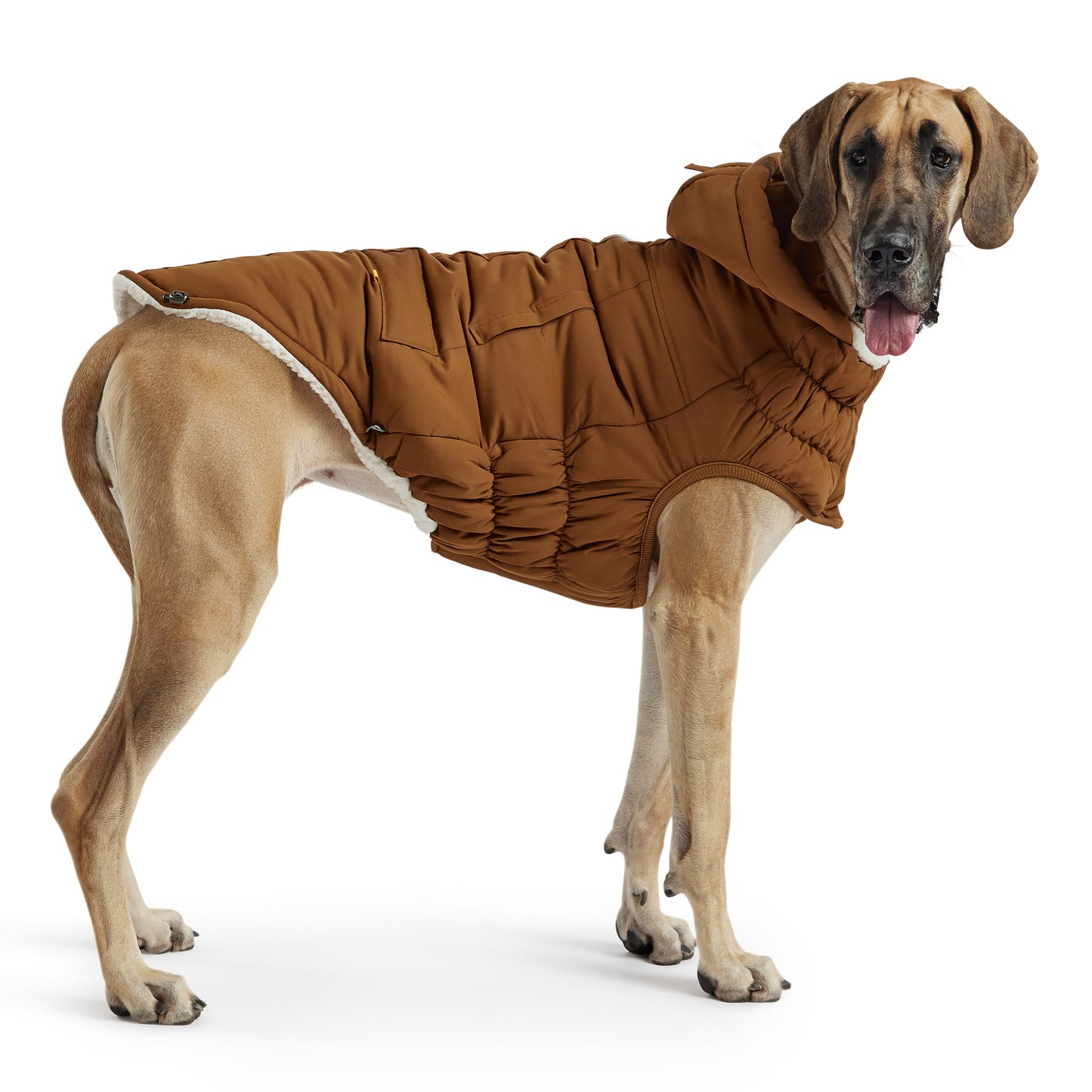 Arctic Parka - Wood - detail view | Pet Supplies at Purrfect Pet Kingdom for Dogs and Cats