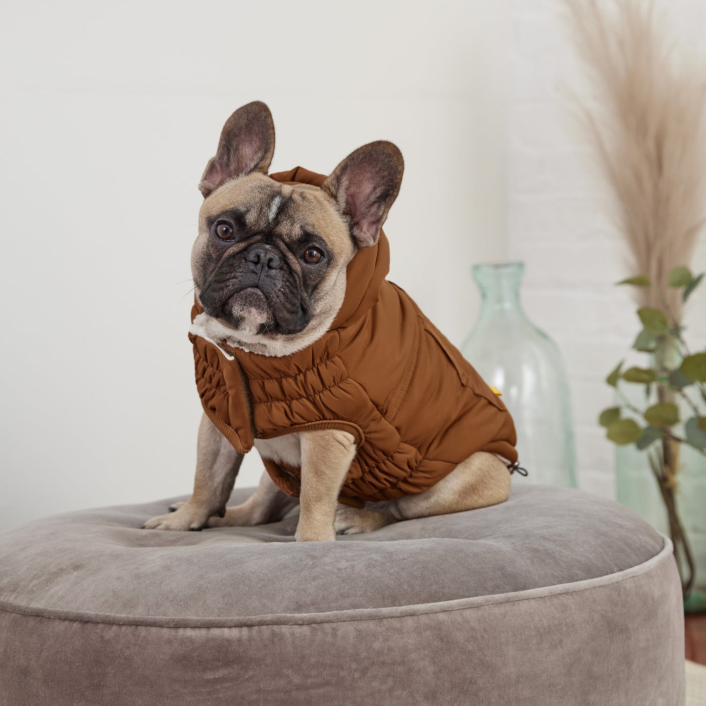 Dog Apparel Outdoor Comfort Adjustable Wood Everyday Wear - close up view