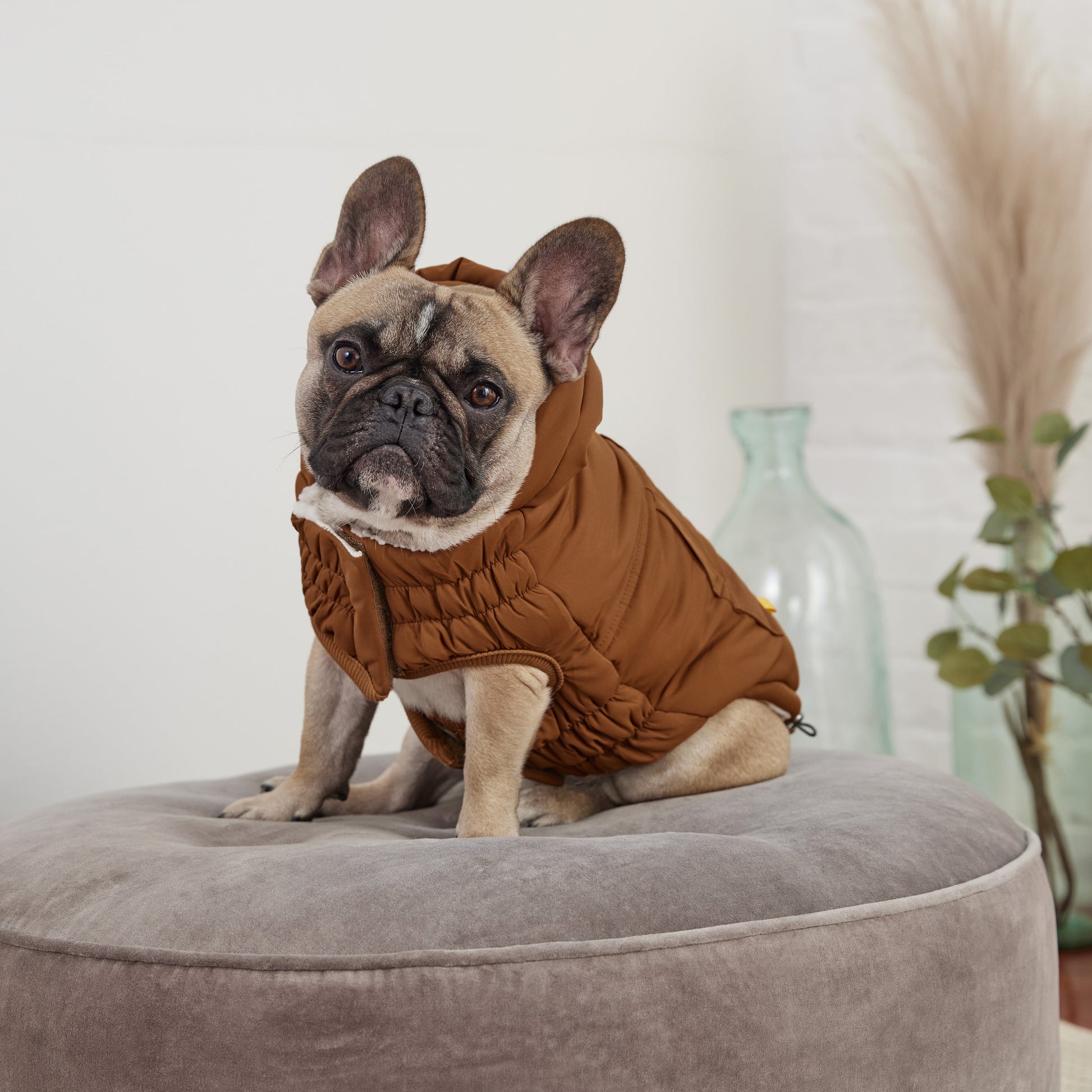 Dog Apparel Outdoor Comfort Adjustable Wood Everyday Wear - close up view